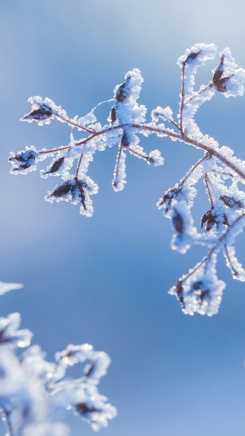 Winter wallpaper-10 screenshot