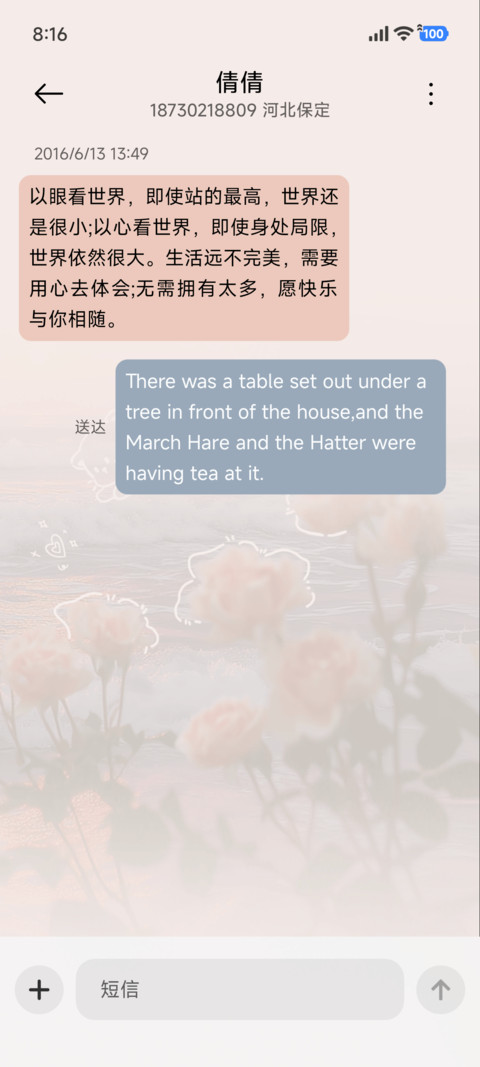 ins日落花海 screenshot