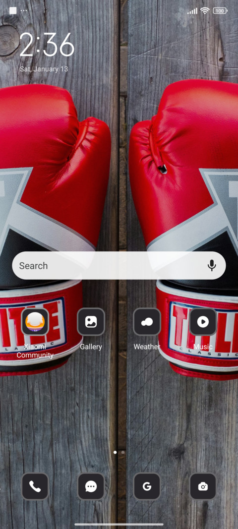 Boxing screenshot