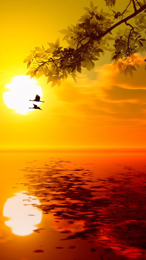 lingering light of the setting sun-05 screenshot