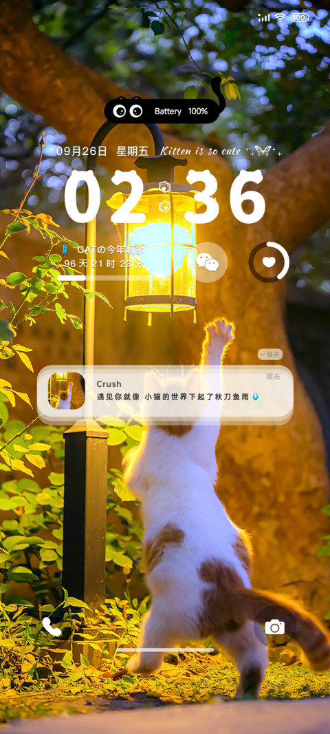 治愈系 发光小猫 screenshot