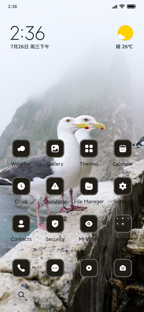 seagull screenshot