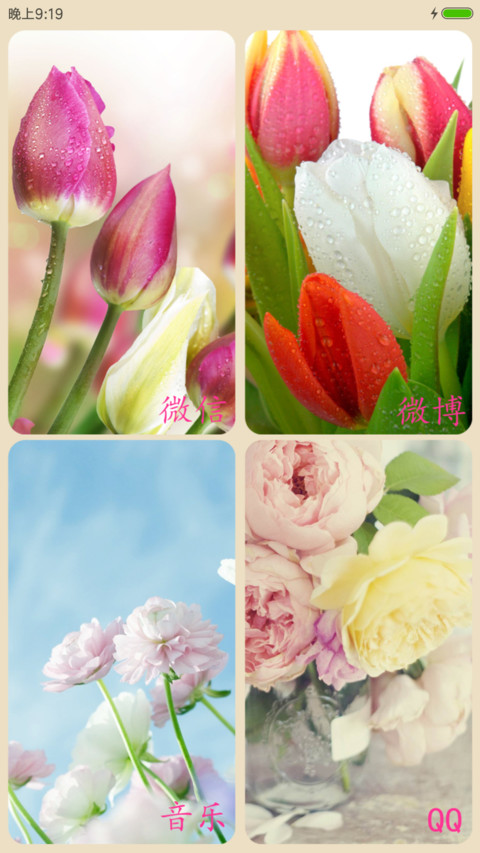 百花仙子 screenshot