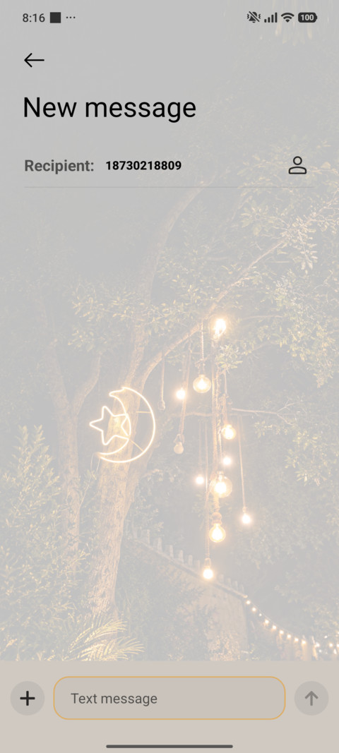 Moonlit Garden screenshot
