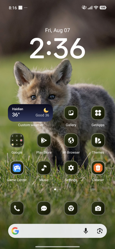 Baby Fox screenshot