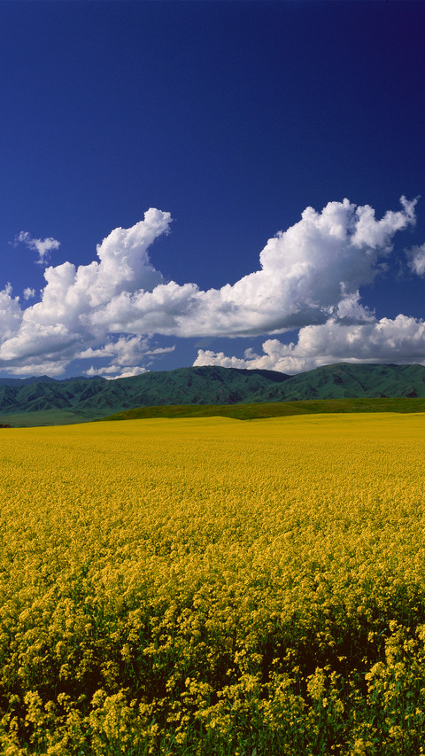 Mongolian grasslands screenshot