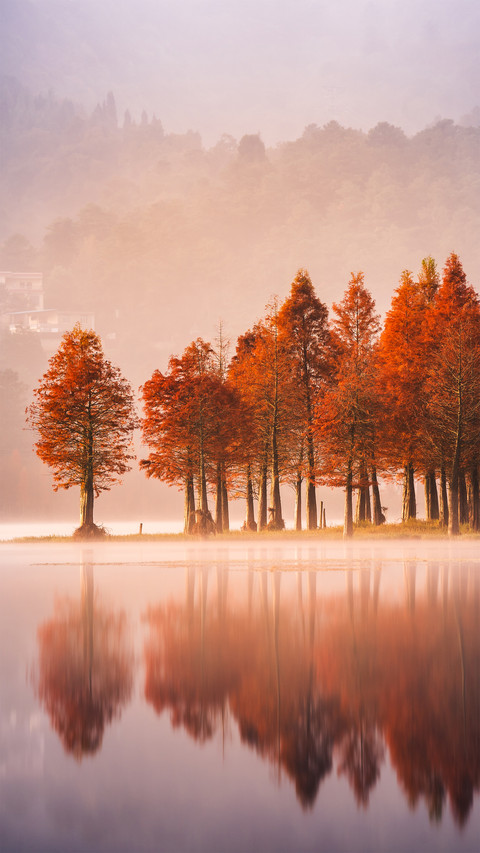 The morning mist of early autumn screenshot
