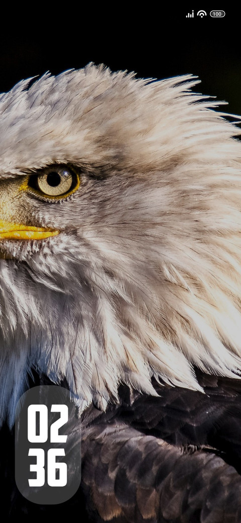 Eagle screenshot