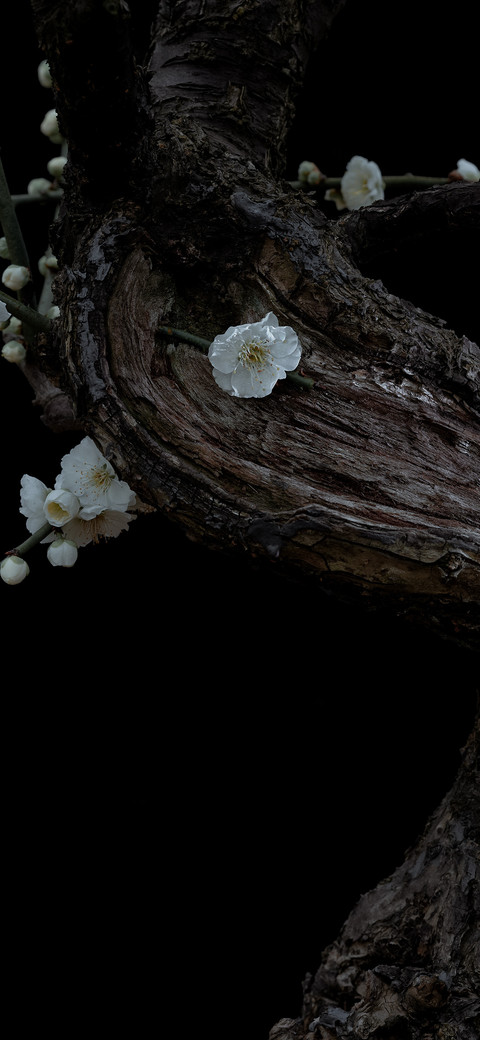 生息 screenshot