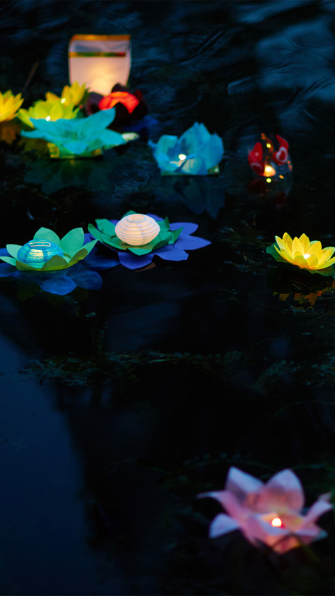 Moonlight in lotus pond-01 screenshot