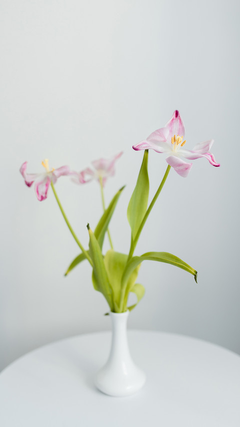 Three pink tulips in a white vase on a white round table screenshot