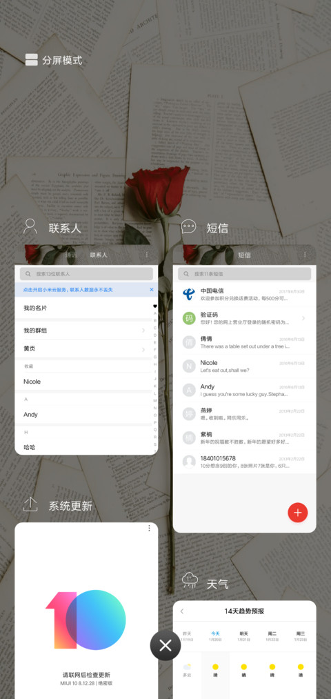 玫瑰与书 screenshot
