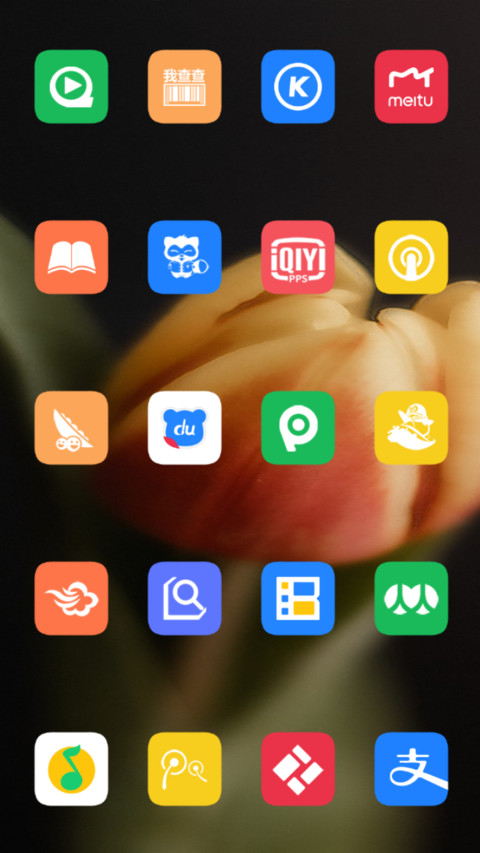 Tulip screenshot