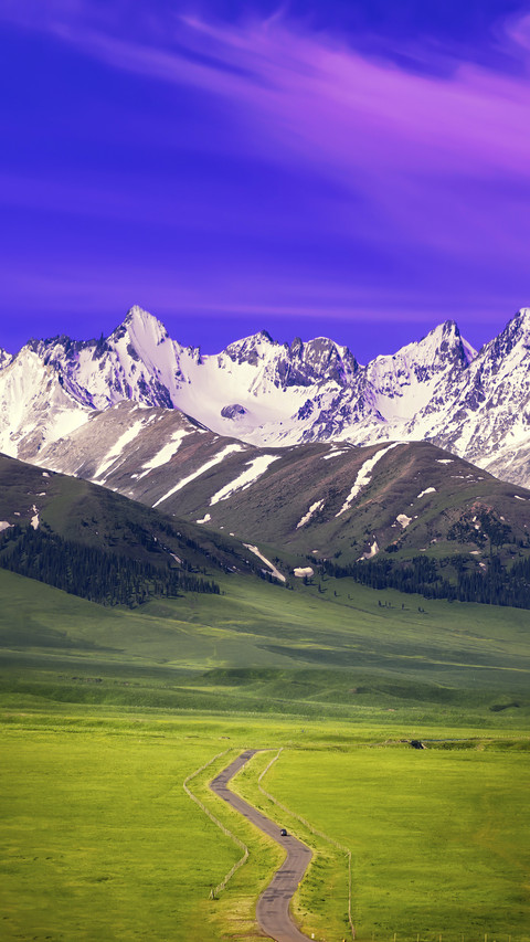 Grassland scenery in the morning 17 screenshot
