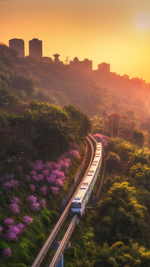 Fairy tale train to spring screenshot