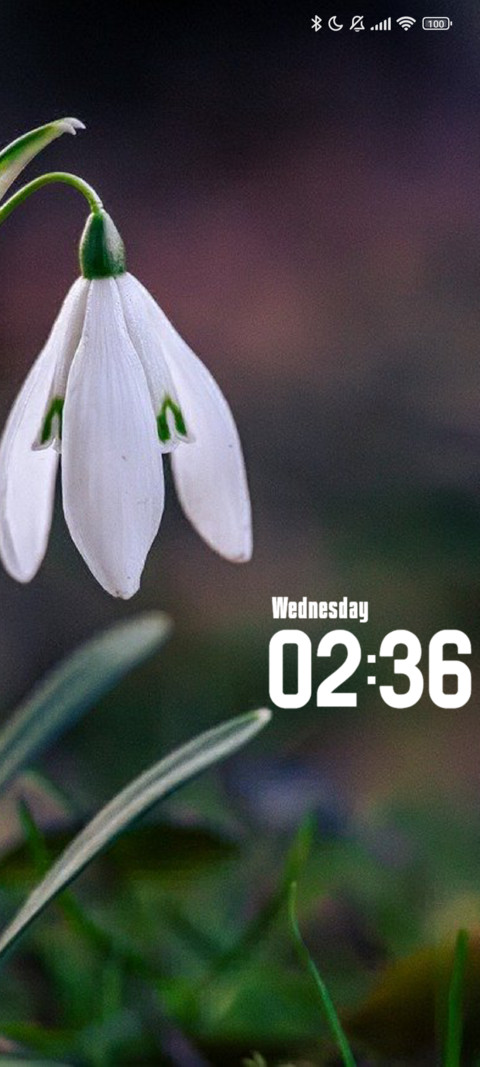 Snowdrop screenshot