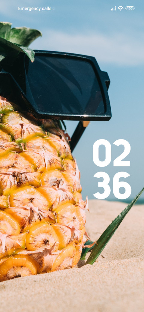 Pineapple screenshot