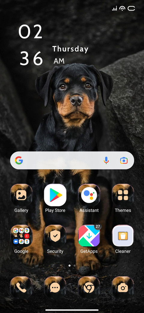 Golddy screenshot