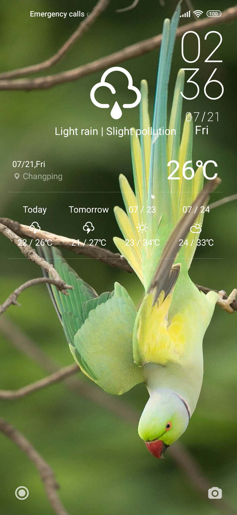 LILY NAVVA V12.5 screenshot
