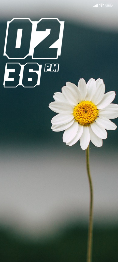 Daisy screenshot