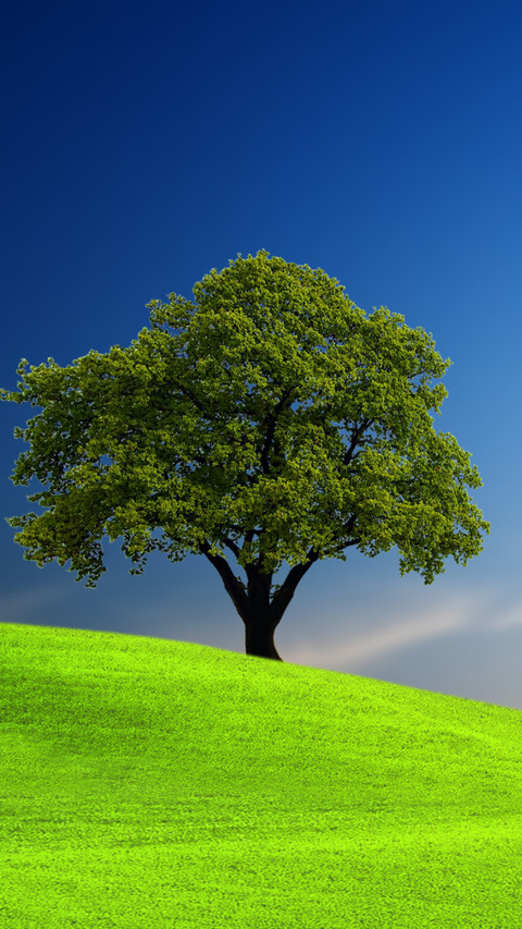 Green tree screenshot