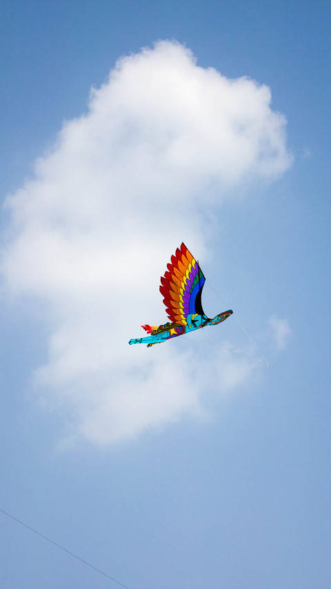 India-Kite screenshot
