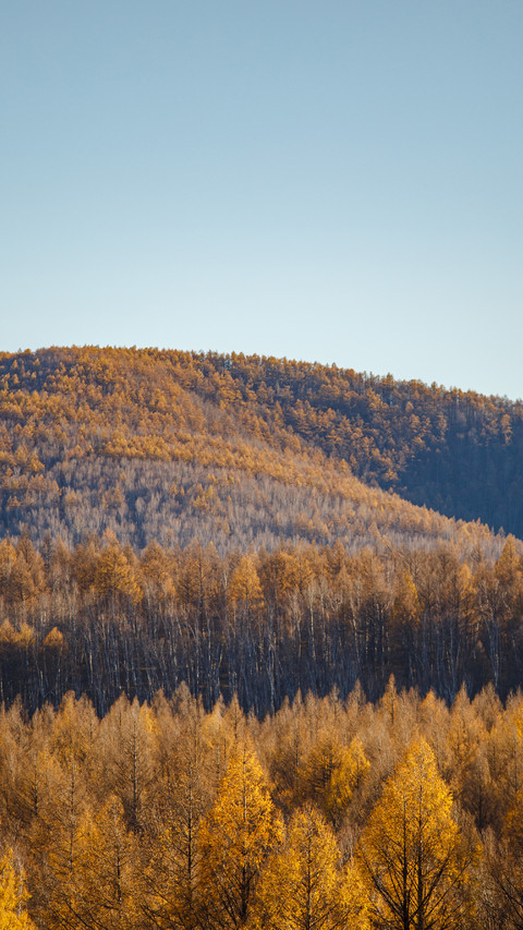 The autumn charm paints all the peaks screenshot