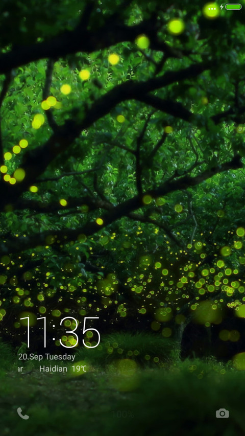  Firefly Night screenshot