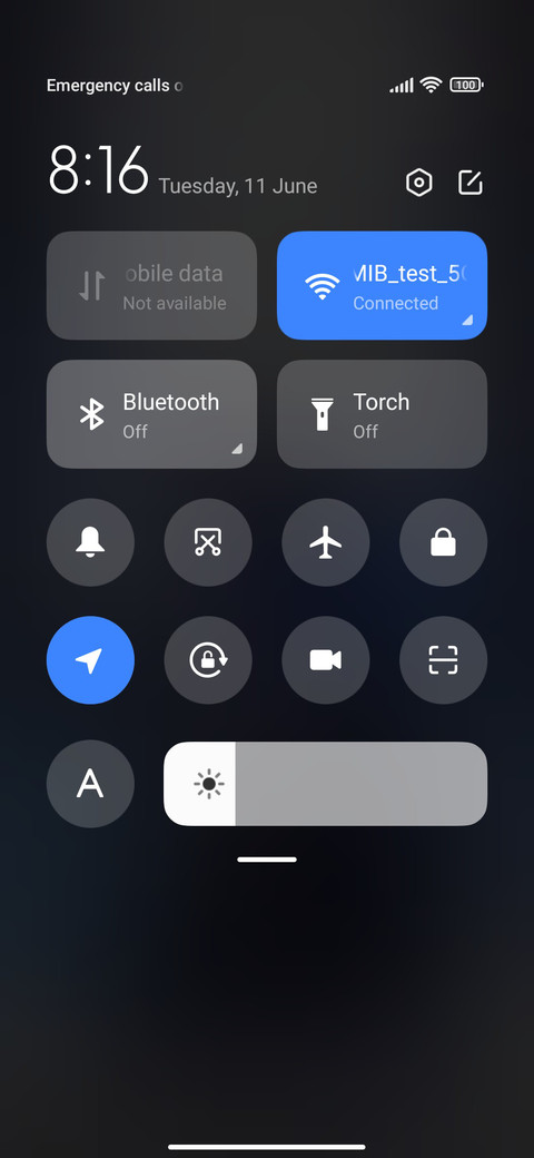 Cat Shines Stage screenshot