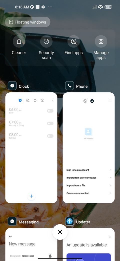 Pineapple screenshot