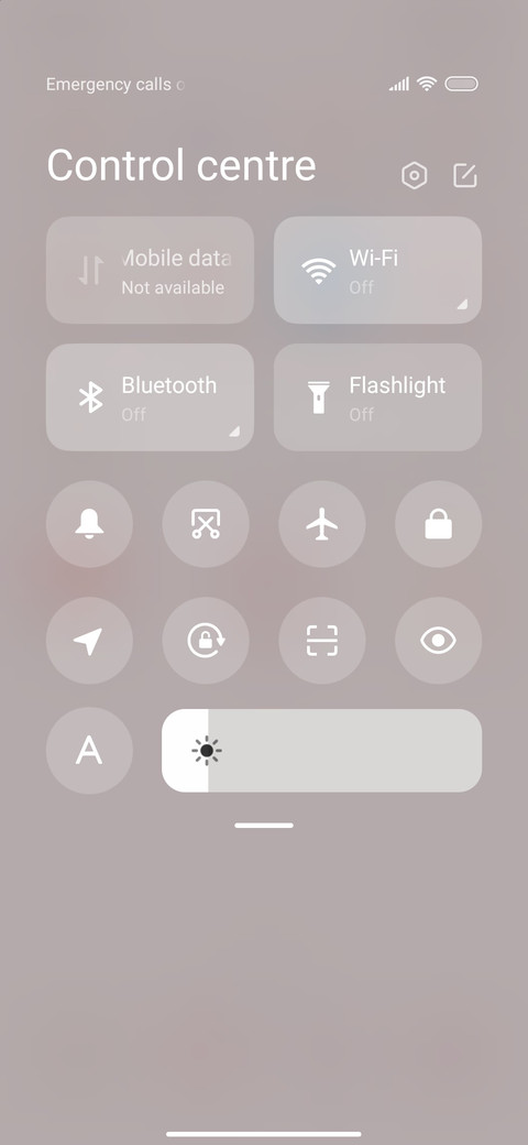 Sister fruit screenshot