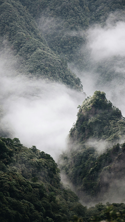 山 screenshot