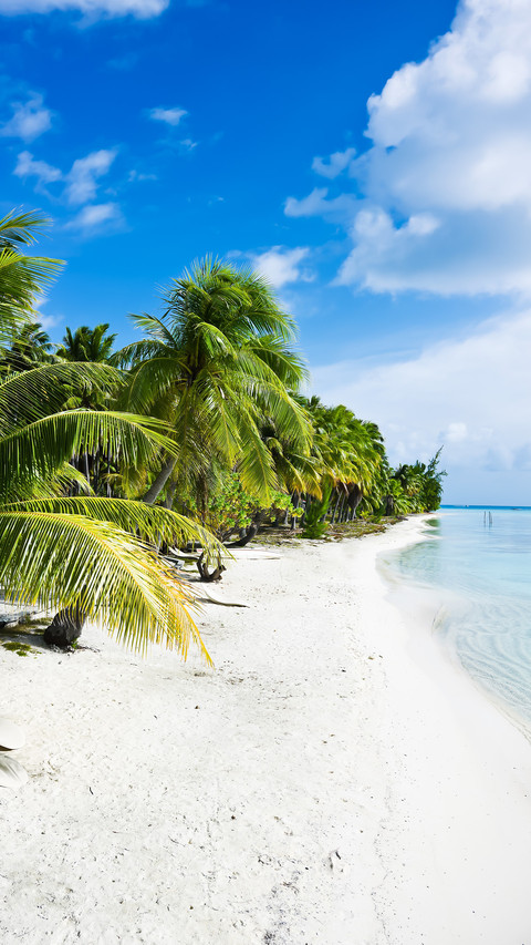 Pearl of the pacific ocean screenshot