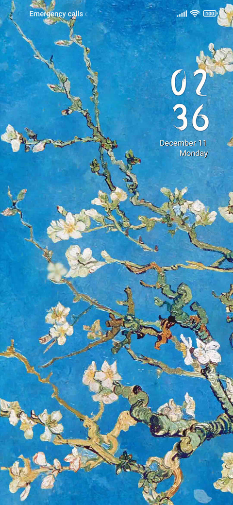 Apricot Blossom screenshot