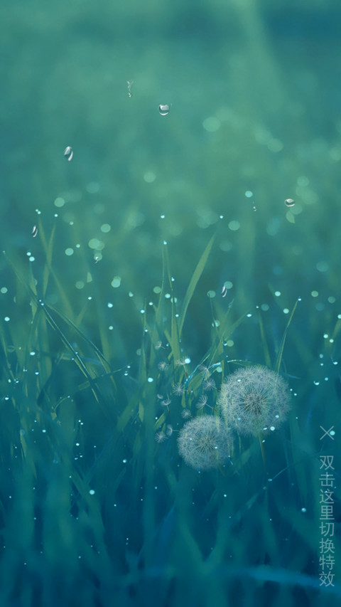 芬芳 screenshot