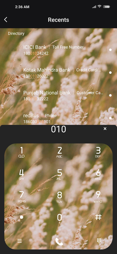 Ear of rice screenshot