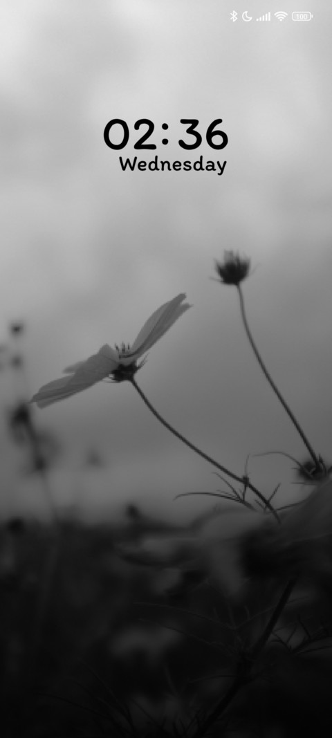 Grey Petals screenshot
