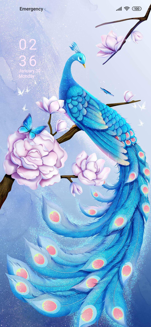 Peacock Dance screenshot