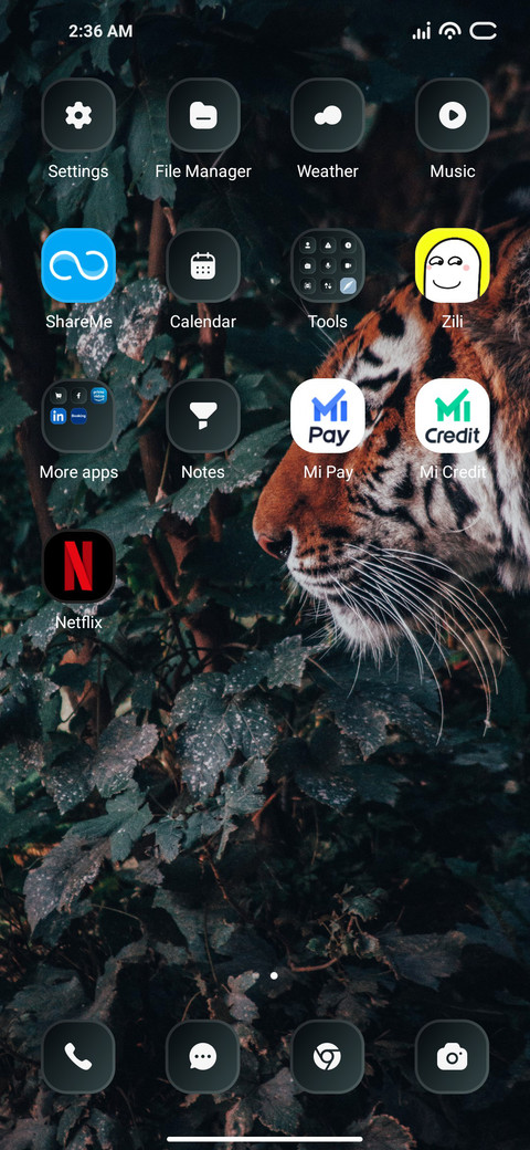 Wild Tiger screenshot