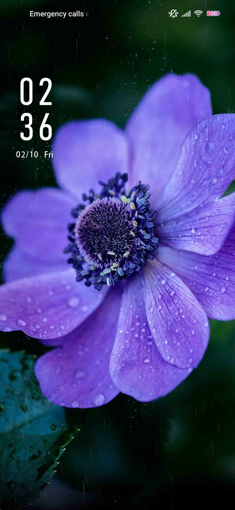 Vinca blue screenshot