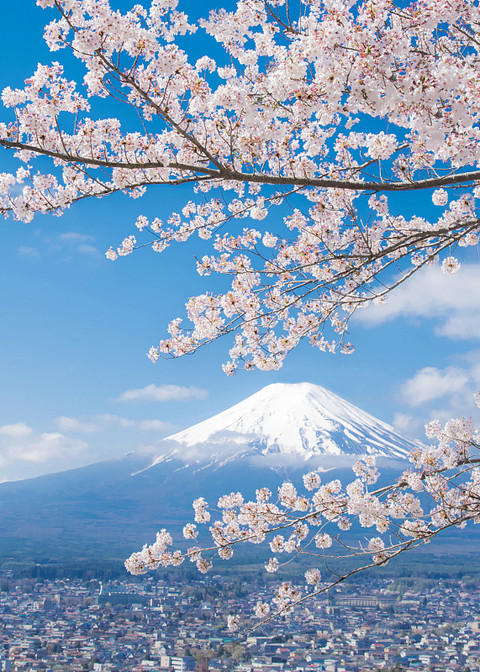 端庄圣洁之富士山 screenshot