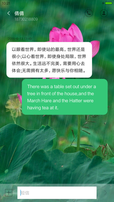 仲夏赏荷 screenshot