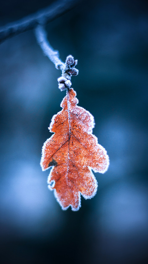 Winter scenery-06 screenshot