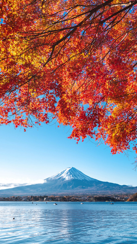 Do Japanese maple leaves look good 85 screenshot