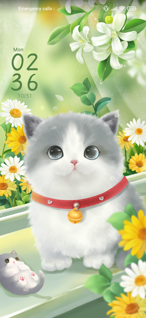 Duofu+Meow+dyna screenshot