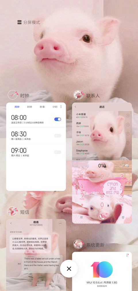 猪年福运 小香猪 screenshot