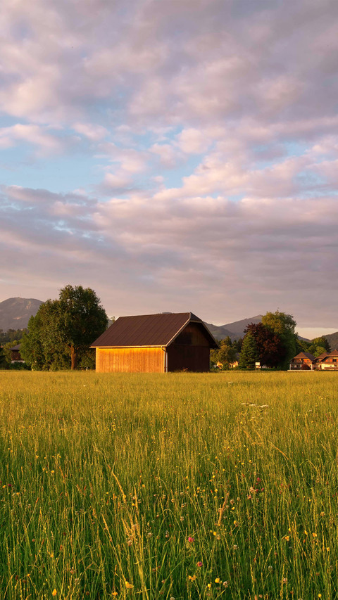 The alpine plain screenshot