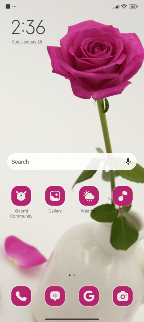 Blooming Delight screenshot