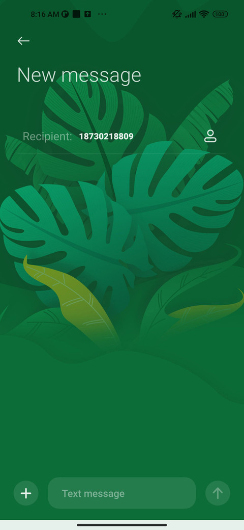 Forest carnival screenshot