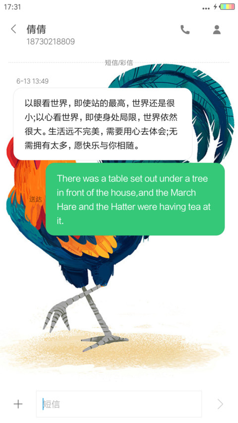 金鸡年大吉 screenshot